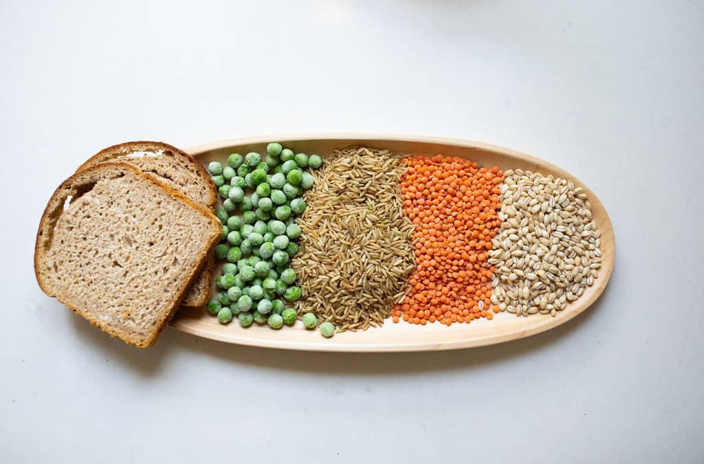 The Benefits of Sprouted Everything